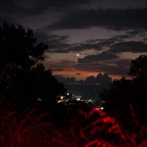 I_m not here_4